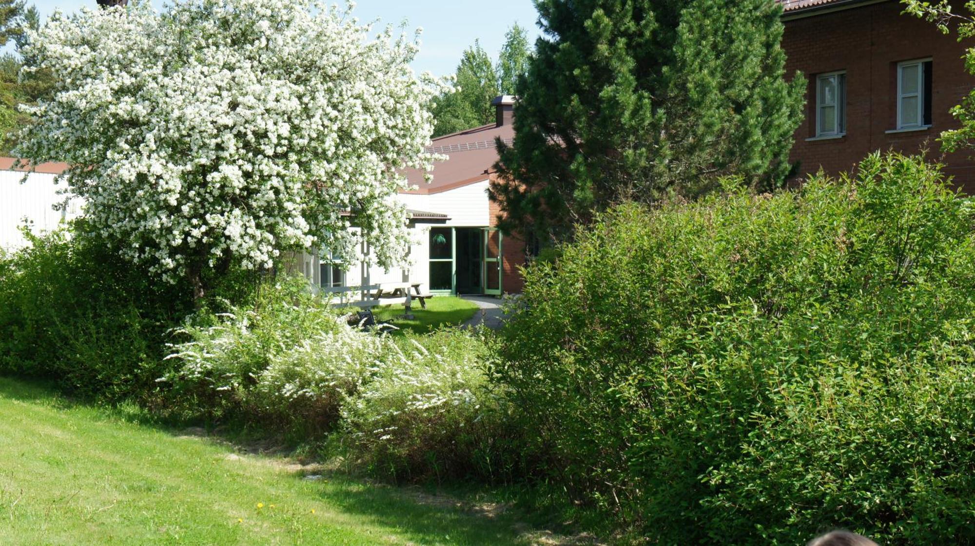 Hotell Vindelngallerian Екстериор снимка